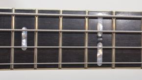 Picture for category Bass Guitars