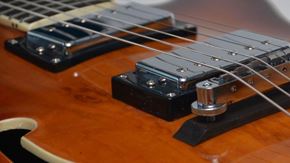 Picture for category Dual Humbucker
