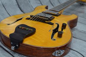 Picture for category Archtop