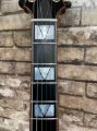 Maxey Archtops - Night Owl. By Phred Instruments.