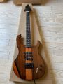 Phred Instruments Blade (Prototype)