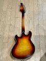 Reprise Curly Maple Burst by PHRED instruments